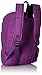 Kipling Challenger II Backpack