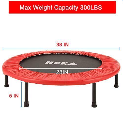 HEKA Mini Trampoline for Adults, Fitness Rebounder with Safety Pad, Exercise Rebounder Indoor