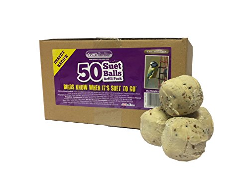 Suet To Go Insect Balls Refill Box Wild Bird Treat, 50 x 90 g