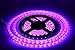 Lumcrissy led Light Strip -12V LED Strip Lights Waterproof 3528 SMD 5M 300LED 300 Units LEDs Light Strip (No Adapter)