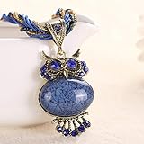 Sinfu Necklace For 1PC Women Bohemian Owl