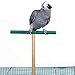 Bird Perch，Parrot Wooden Stand for Cage，Birdcage Play Stand Rack，Cage Toy for Beak Paw Grinding Stick，Natural Beech Branch，Travel Portable Pet Bird Carrier Stand for Parakeets Cockatiel Conure Budgiethumb 1
