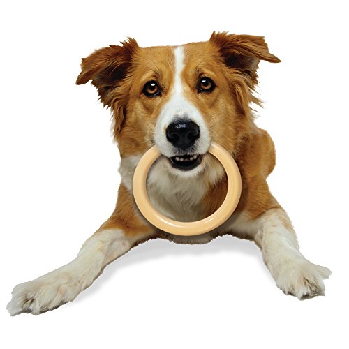 Nylabone Giant Original Flavored Ring Bone Dog Chew Toy