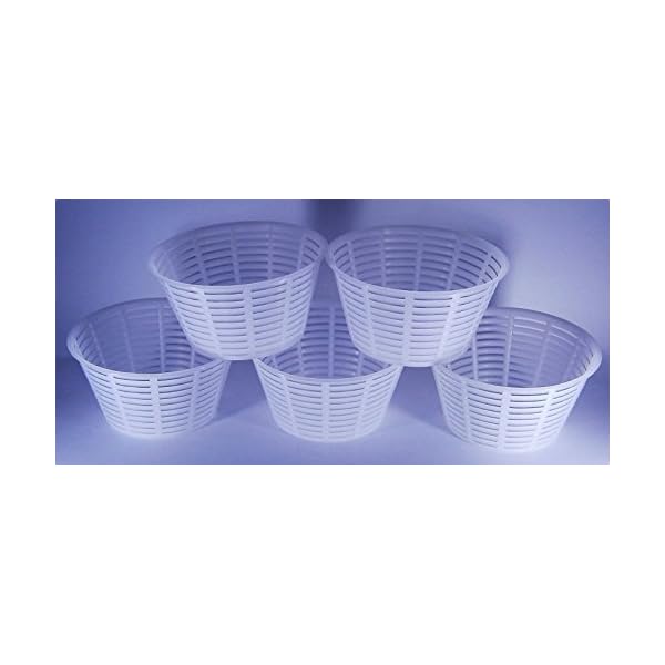 5 x Forma plastica per formaggio 12x6.3cm - 0.5kg – Forme e fuscelle | Forme formaggio