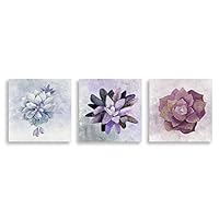 3Piece Canvas Wall Art - Succulent Plant - Canvas Prints Home Artwork Decoration for Living Room,Bedroom - 12