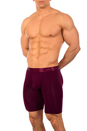 Obviously Spectra - Naked - Boxer Brief 9 Inch Leg (Small, Maroon)