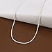 Zhiwen 5pcs 925 Sterling Silver 2MM Rope Chain Lobster Claw Clasp Necklace Jewelry for Men and Women(16-24 Inch)