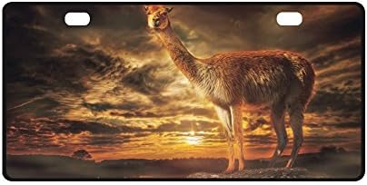Durable Metal License Plate Frame for Women/Men Funny Llama Printed Two Holes Car Tag (New) 11.8" X 6.1"