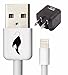 PENG Lightning to USB Cable w/ Wall Adapter - (3') for iPhone 7/7 Plus, 7s/7s Plus, 6/6 Plus, 6s/6s Plus, 5s/5c/5, iPad Pro/Air 2, iPad mini 4/3/2, iPod touch 5th Gen/6th Gen/Nano 7th Gen - White