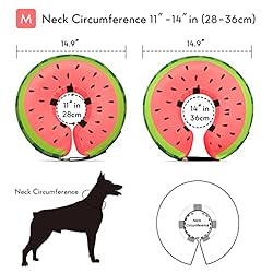 Dog Cone Collar for Small Medium Large Dogs for