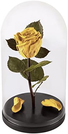 Beauty And The Beast Rose, Live Forever Rose with fallen petals in Glass Dome - Disney home decor Rose, Preserved Rose 100% Natural DB0001 (Yellow) This is a Real Rose!