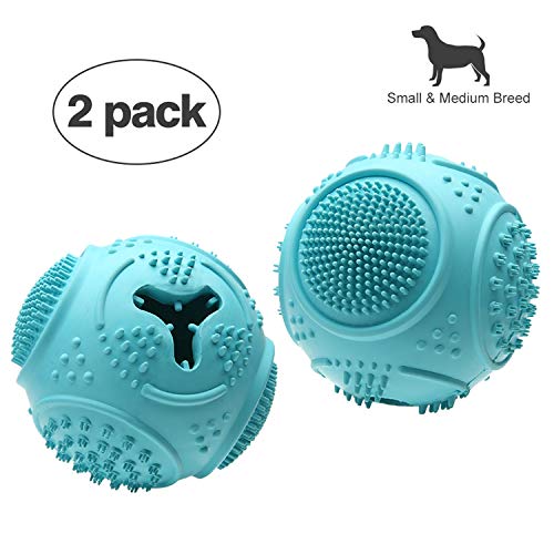 Top 9 hollow rubber balls for dogs Allace Reviews