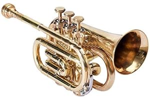 SM'SAI MUSICALS Sai Musical Pocket Trumpet 3 Valve's Pro Shinning Brass with Mouth Piece and Case
