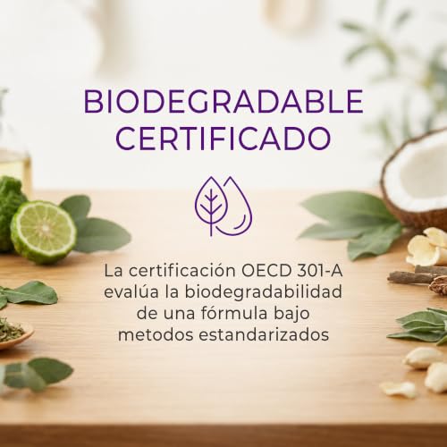KUXTAL Detergente para Trastes Paquete de 2, Elimina la Grasa sin Percudir los Platos, Amigable con las Manos, Biodegradable OECD 301-A, Ingredientes Naturales, Aroma Cítrico