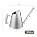 Cesun Metal Watering Can Solid Stainless Steel Pot with Long Spout Small Size for Bonsai Indoors and Outdoors, 48 Fl Oz