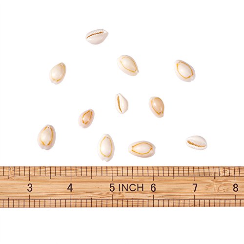 2 Pandahall+120+150pcs+Natural+Seashells+Accessories