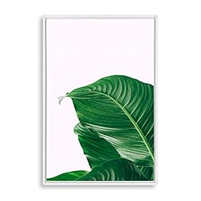 signwin Framed Canvas Wall Art Green Plants Canvas...