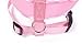 EXPAWLORER Soft Mesh Dog Harness and Leash Set - Pink Dog Harness, No Choke Step-in Adjustable Cute Dog Harness, Breathable Lightweight Vest Harness for Puppy Dogs Cats Outdoor Walking, Small