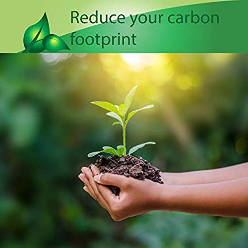 Biodegradable Straw Clear with GreenStrip 7 3/4" Unwrapped 400 Unit Pack, 100% Eco Friendly, Disposable Biodegradable - Image 5