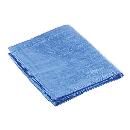 Jack Sealey - Sealey Tarpaulin 2.44X3.05Mtr Blue - Thumbnail 2