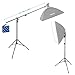 Neewer Photo Studio 13 feet/3.9 Meters 2-in-1 Light Stand with 74.8-inch Boom Arm and Blue Sandbag for Supporting Softbox Studio Flash for Video Portrait Photography, Aluminum Alloy (Empty Sandbag)