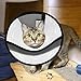SCENEREAL Cat Recovery Collar - E Collar for Cats Pet Cone Collar Soft Adjustable for Kittens & Puppy