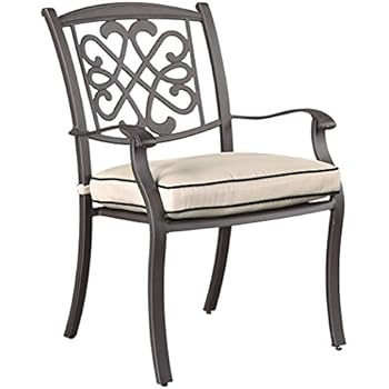 Amazon.com : Ashley Furniture Signature Design - Burnella Chair with