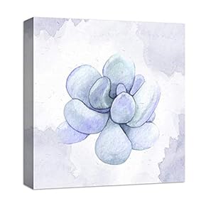 for Living Room Bedroom Home Artwork Paintings Succulent