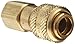 Dixon Valve & Coupling DCB2023 Brass Air Chief Industrial Interchange Quick-Connect Air Hose Fitting, 1/4