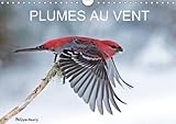 Plumes Au Vent 2018: Des Oiseaux En Action Au Fil Des Quatres Saisons. (Calvendo Animaux) (French Ed by