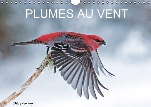 Plumes Au Vent 2018: Des Oiseaux En Action Au Fil Des Quatres Saisons. (Calvendo Animaux) (French Ed by (Calendar)