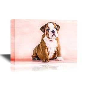 Dogs Breeds English Bulldog Puppy Pet Art for