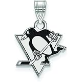 Pittsburgh Penguins Small (1/2 Inch) Enamel Pendant (Sterling Silver)