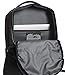 The North Face Vault Backpack - Women's Asphalt Grey Dark Heather/Dramatic Plum