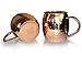 Moscow Mule Copper Mugs - Set of 2-16 Oz - 4 inches height - Heavy Weight (compare) - 100% solid copper mugs - Copper cups Hammered Finish - Perfect copper moscow mule set gift