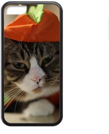 cute cat wearing clothes