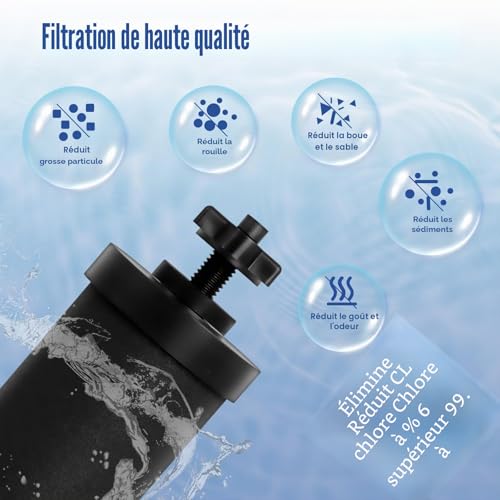BB-9-2 Water Filter Compatible with Berkeyy Cleaning Elements, Black Element Cartridge, Premium Water Filter Compatible with Travel Series Big Royal Imperial Crown Light (4 Pieces)