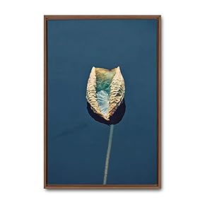 Framed Canvas Wall Art Animals, Flowers, Birds Canvas Prints Home Artwork Decoration for Living Room, Bedroom - 16x24 inches