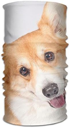 Cute Smile Welsh Corgi Dog Unisex Fashion Quick-drying Microfiber Headdress Outdoor Magic Scarf Neck Neck Scarf Hooded Scarf Super Soft Handle