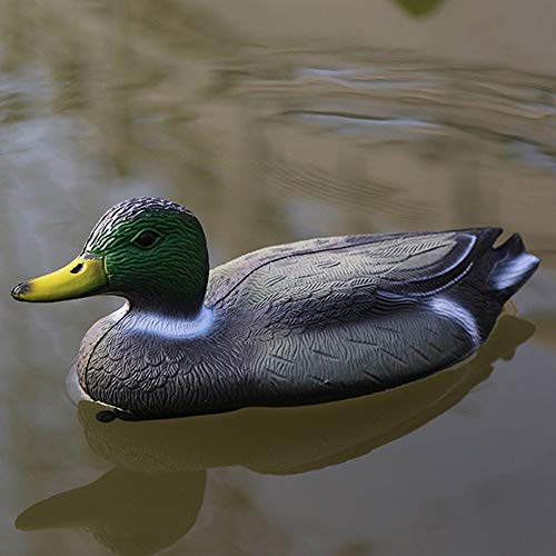 image for Tfwadmx Duck Decoys Realistic Plastic Mallard Hunting Green and Brown