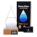 Storm Glass Weather Forecaster Weather Station Fashion Creative Office Desktop and Home Decor Water Drop Glass Bottle / Thermometer