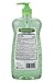 Germ-X Advanced Hand Sanitizer, Aloe, Pump Bottle, 33.80 Fluid Ounce (Pack of 4)