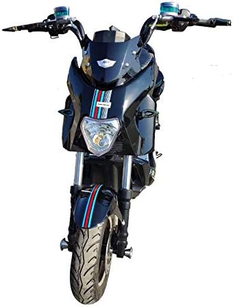 NBWE Electric Bike electric motorcycle double electric scooter modified high-power adult electric bicycle