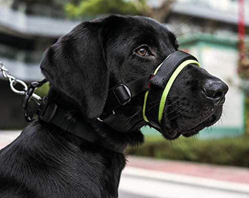 BARKLESS Dog Muzzle for Barking Biting and Chewing with Adjustable Loop Soft Padding - Image 7