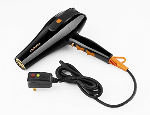 Hair Dryer Professional Ionic Hair Blow Dryer With Concentrator