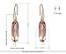 Austrian Crystal Rose Gold Oval Champagne Drill Collars