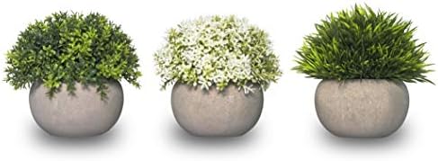 Nohly Small Artificial Plants Home Decor Set Of 3 Mini Faux