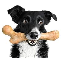Pet Qwerks Boar BarkBone Pork Chop Flavor Chew Toy - For Aggressive Chewers, Tough Durable Extreme Power Chew Toy, Indestructible | Made in USA FDA Compliant Nylon - For Small Dogs & Puppies