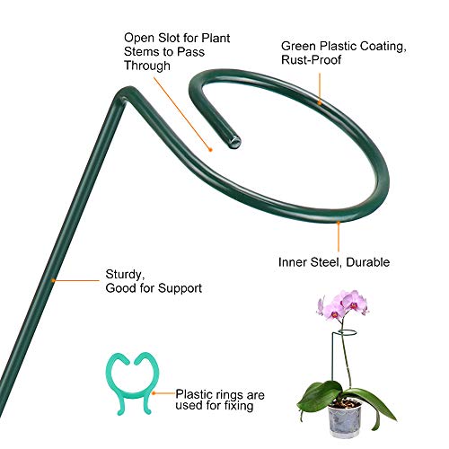 Yotako 3 Pack Metal Plant Support Stakes, 3 Pcs DIY Single Stem Plant Sticks, Plant Cage Support Rings, Garden Tomato Cage with 30 pcs Plant Clips for Plant Flower Growing