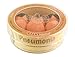 GIANT MICROBES Pneumonia Streptococcus Pneumonia Petri Dish